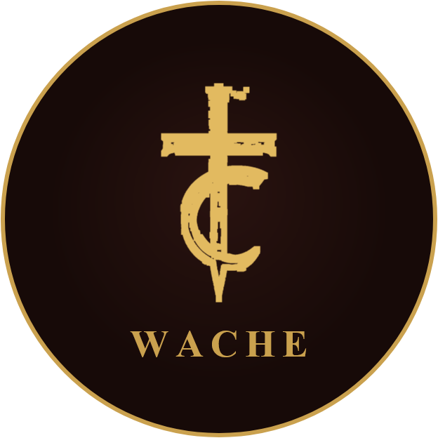 System-Wache